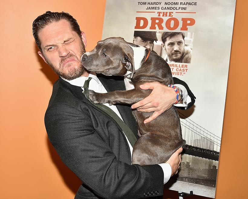 Tom Hardy at an event for The Drop (2014)