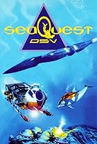 Seaquest DSV (1994)