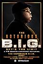 The Notorious B.I.G. Sky's the Limit: A VR Concert Experience (2022)