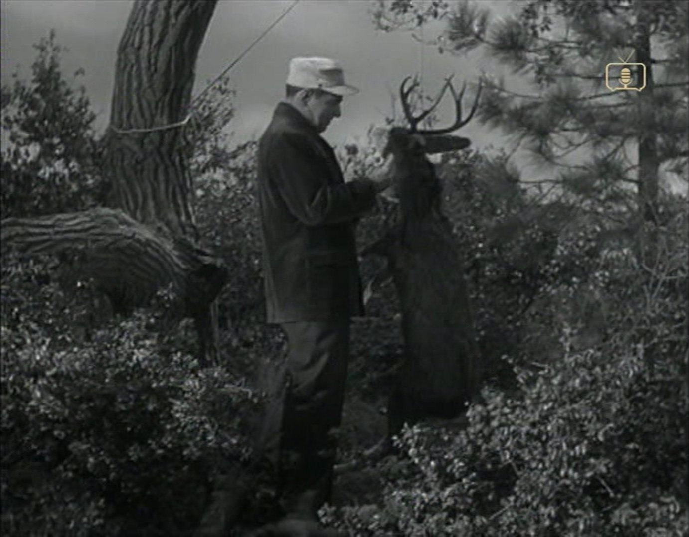 Stephen McNally in The DuPont Show with June Allyson (1959)