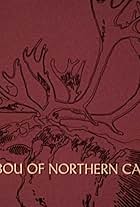 Caribou of Northern Canada (1971)