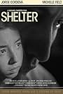 Shelter (2007)