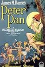 Peter Pan (1924)