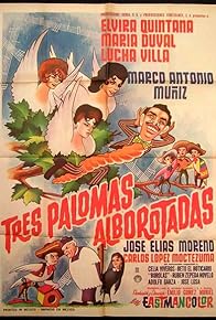 Primary photo for Tres palomas alborotadas