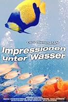 Impressionen unter Wasser