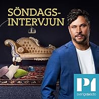 Primary photo for Hanif Bali - om valet mellan klotterväggen och senaten