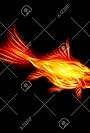 A Goldfish of the Flame (2010)