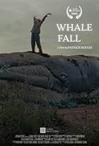 Whale Fall