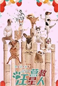 Year of the Dog (2018)