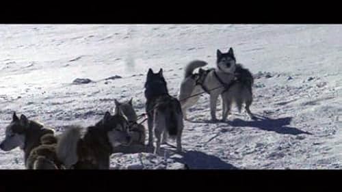 Eight Below