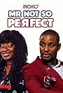 Mr. Not So Perfect (2017)