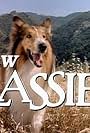 Lassie in The New Lassie (1989)