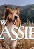 The New Lassie (TV Series 1989–1992) Poster