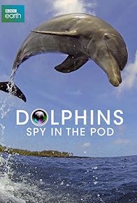 Primary photo for Dolphins: Spy in the Pod