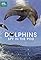 Dolphins: Spy in the Pod's primary photo