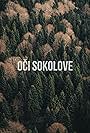 Oci sokolove (2025)