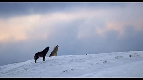 It's the land we love and the land we think we know. We see America's breathtaking landscapes and wildlife as timeless, but the truth is very different. Its unique geography drives the forces of nature to extremes, shaping and reshaping the land and throwing down new challenges for life.