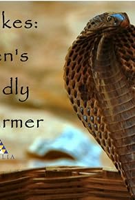 Primary photo for Snakes: Eden's Deadly Charmers