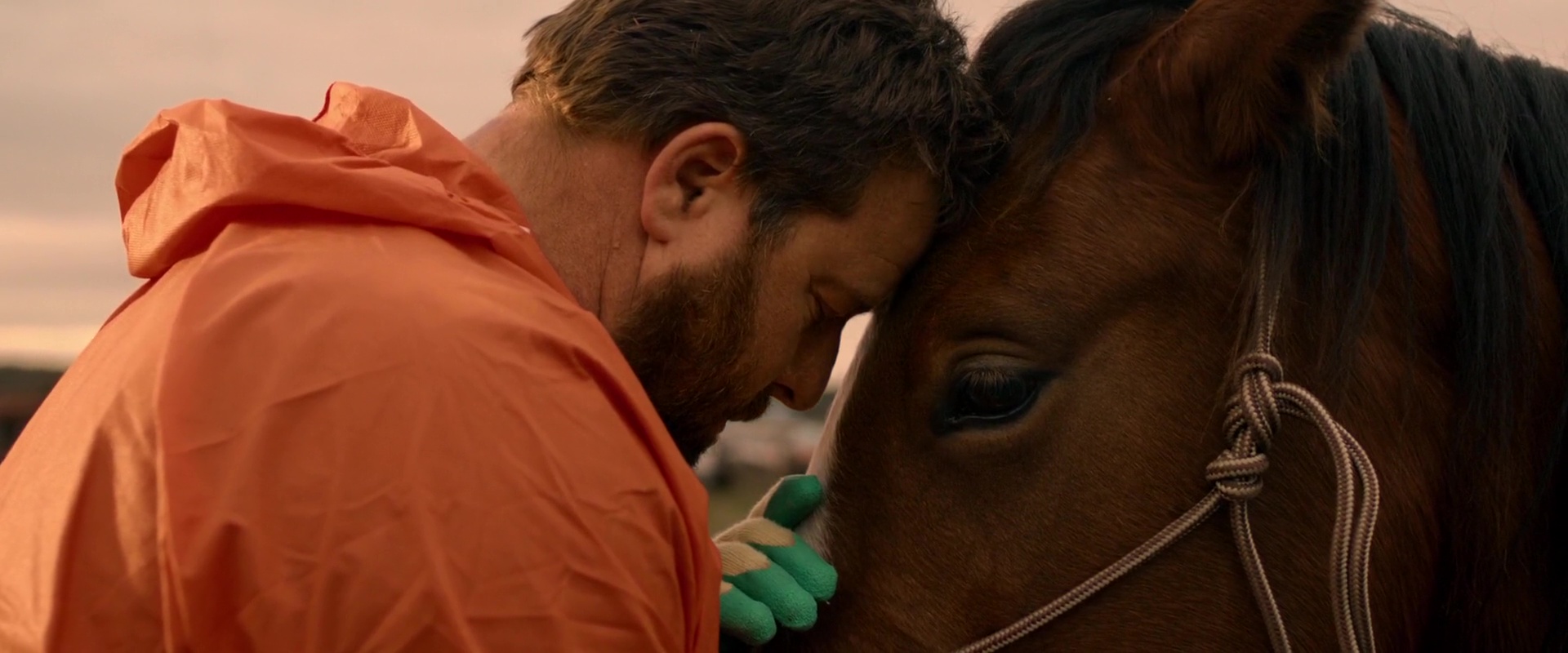 Shane Jacobson in Brothers' Nest (2018)