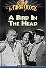 Moe Howard, Larry Fine, and Curly Howard in A Bird in the Head (1946)