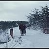 Ethan Hawke and Sally Hawkins in Maudie (2016)