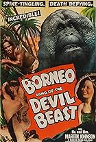 Borneo (1937)