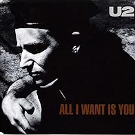 Primary photo for U2: All I Want Is You