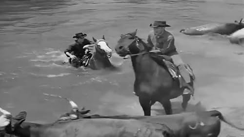 Rawhide (1959)