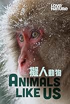 Animals Like Us