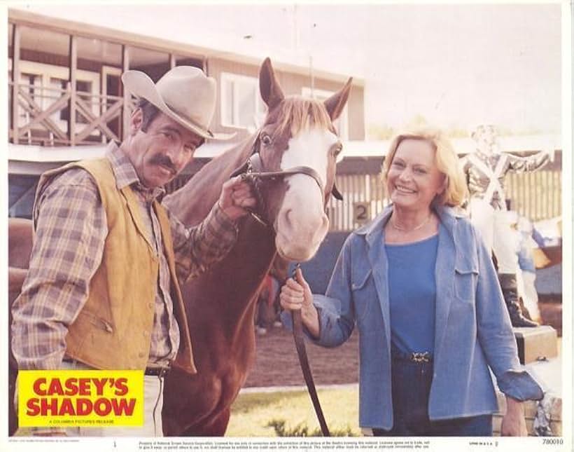 Casey's Shadow (1978)