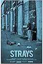 Strays (2017)