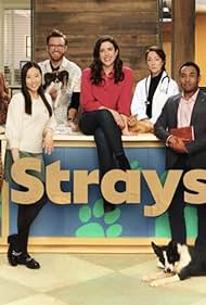 Tina Jung, Nicole Power, and Nikki Duval in Strays (2021)