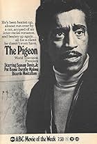 Sammy Davis Jr. in The Pigeon (1969)