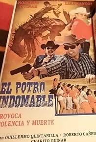 Primary photo for El potro indomable