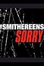 The Smithereens: Sorry (2011)