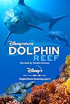 Dolphin Reef (2018)