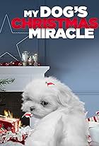 My Dog's Christmas Miracle (2011)