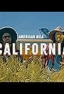 California (Little Richard Cover by American Mile) (2023)