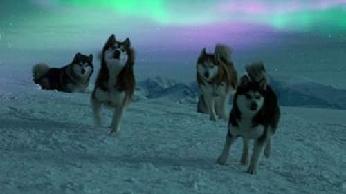 Eight Below