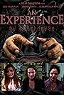 An Experience (2014)