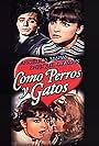 Como perros y gatos (1969)