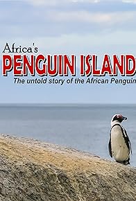 Primary photo for Africa's Penguin Island