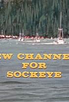 New Channels for Sockeye (1972)