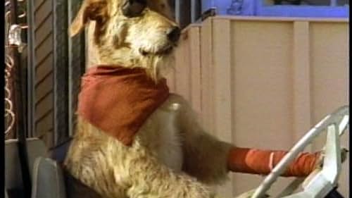 Sherlock: Undercover Dog (1994) - IMDb