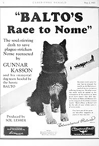 Primary photo for Balto's Race to Nome