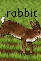 Rabbit (2005)