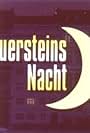 Feuersteins Nacht - Von acht bis acht (12 Stunden über den Dächern von Köln) (1997)