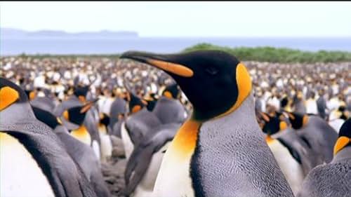 Trailer for The Penguin King 3D