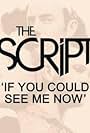 The Script: If You Could See Me Now (2013)