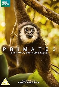 Primary photo for Primates